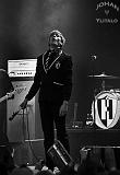 The Hives (3)